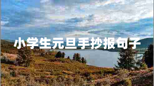 小學生元旦手抄報句子
