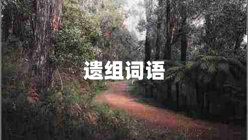 遺組詞語