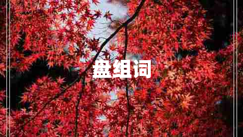 盤組詞