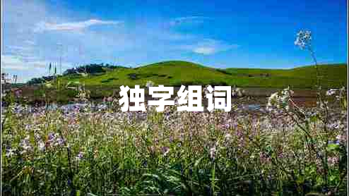 獨(dú)字組詞