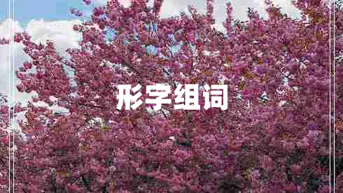 形字組詞 形字組詞