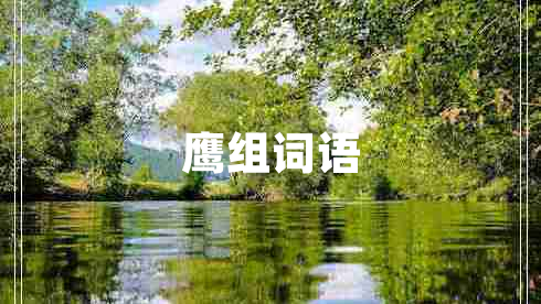 鷹組詞語