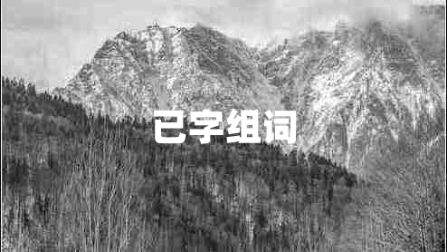 已字組詞 已字組詞