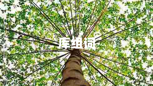 庫(kù)組詞
