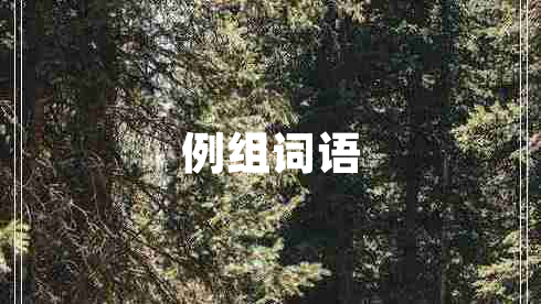 例組詞語