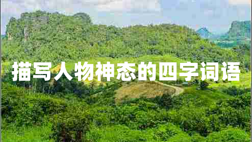 描寫人物神態(tài)的四字詞語(yǔ)