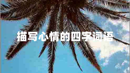 描寫心情的四字詞語(yǔ)