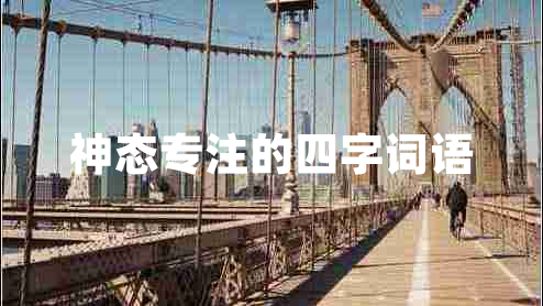神態(tài)專注的四字詞語(yǔ)