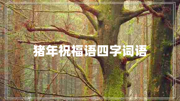 豬年祝福語(yǔ)四字詞語(yǔ)
