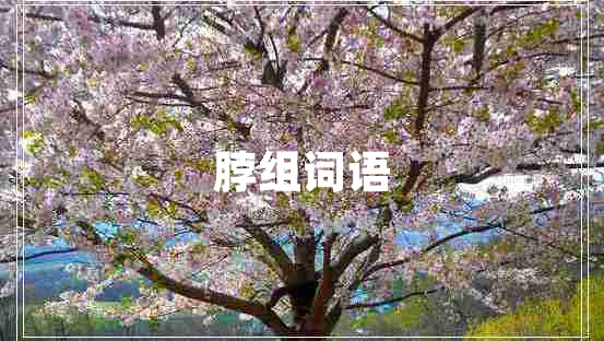 脖組詞語