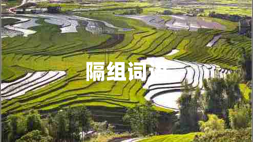 隔組詞語