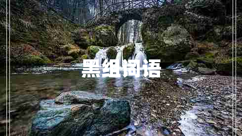 黑組詞語