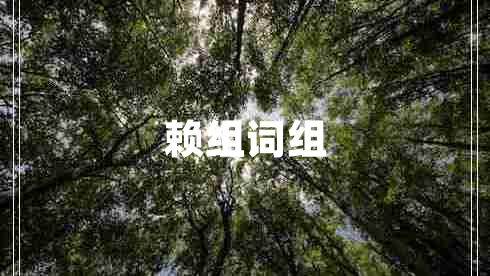 賴組詞組