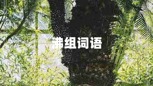 沸組詞語