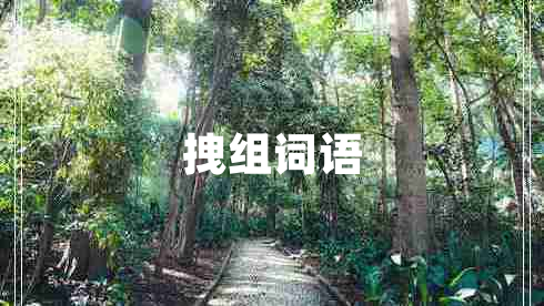 拽組詞語