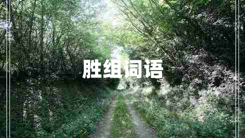 勝組詞語