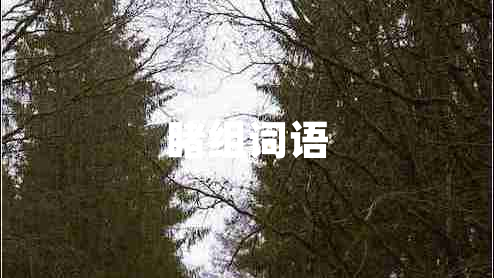 睹組詞語