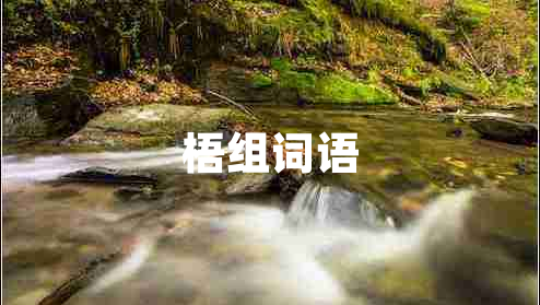 梧組詞語