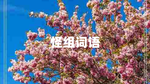 怪組詞語