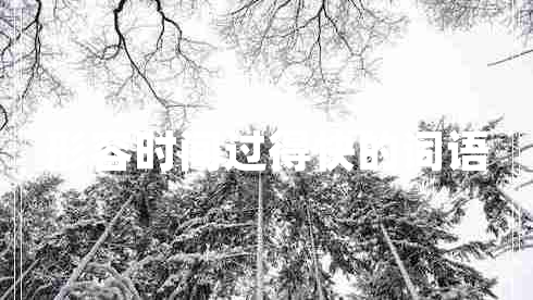 形容時(shí)間過得快的詞語