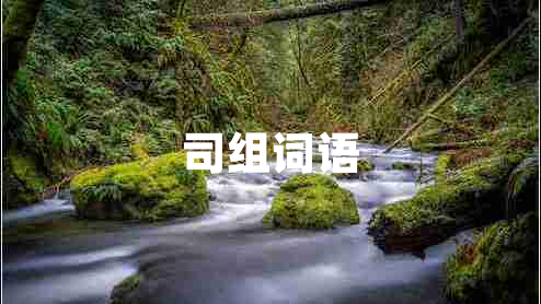司組詞語