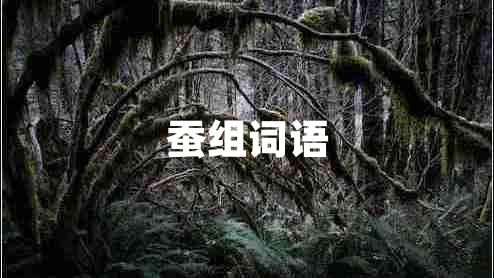 蠶組詞語