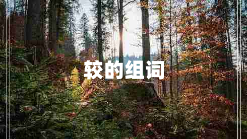 較的組詞 較的組詞