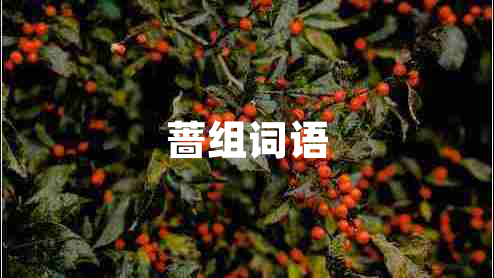 薔組詞語