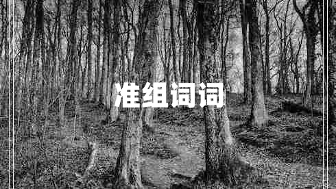 準(zhǔn)組詞詞