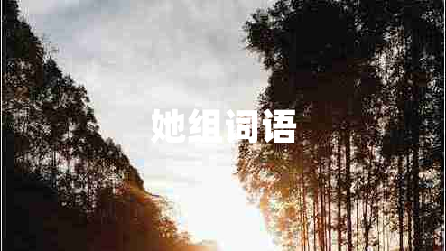 她組詞語