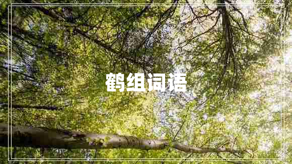 鶴組詞語