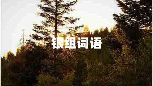 銀組詞語