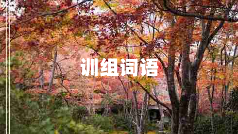 訓(xùn)組詞語