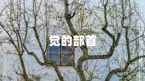 覺的部首