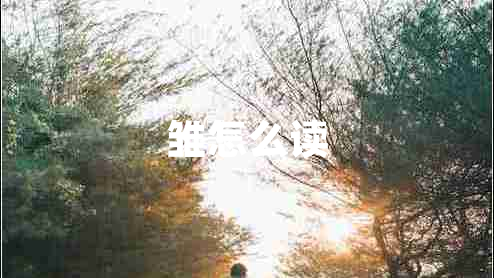 雛怎么讀 雛怎么讀