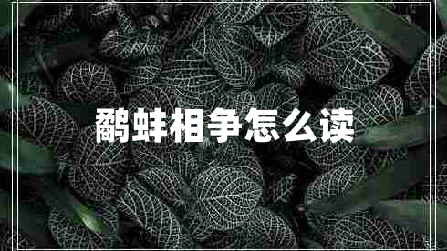 鷸蚌相爭怎么讀