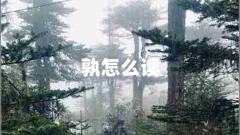 孰怎么讀 孰怎么讀