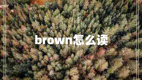 brown怎么讀 brown怎么讀