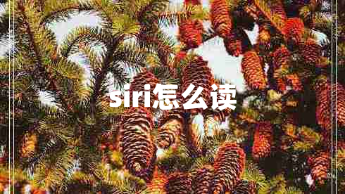siri怎么讀
