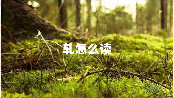 軋?jiān)趺醋x
