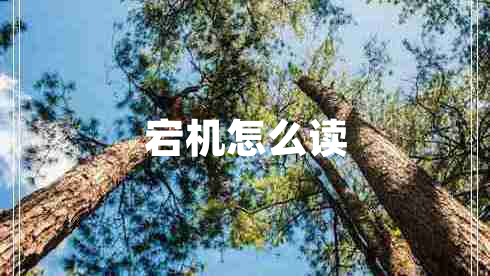 宕機(jī)怎么讀