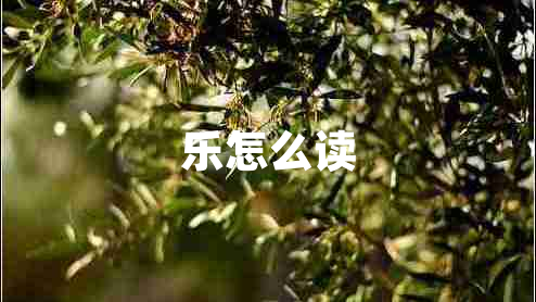 樂(lè)怎么讀