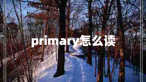 primary怎么讀