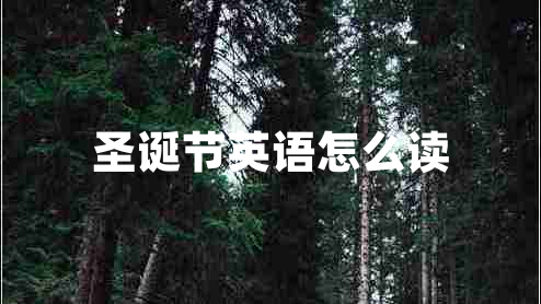 圣誕節(jié)英語(yǔ)怎么讀