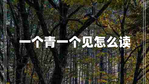 一個青一個見怎么讀