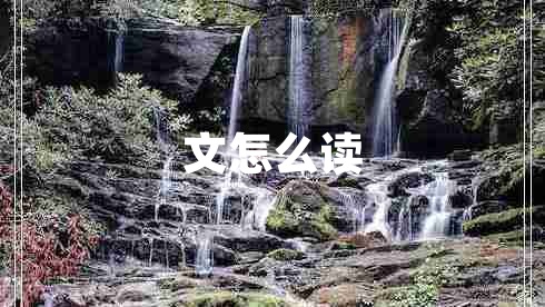 文怎么讀 文怎么讀