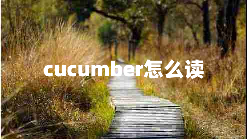 cucumber怎么讀