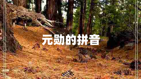 元?jiǎng)椎钠匆? title=
