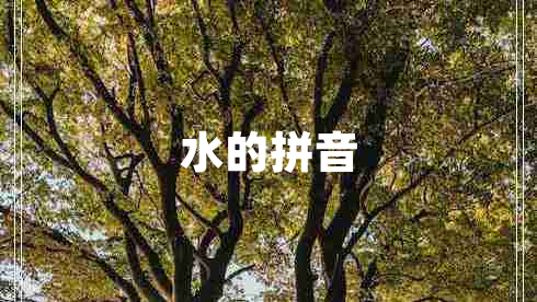水的拼音 水的拼音