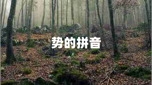 勢(shì)的拼音